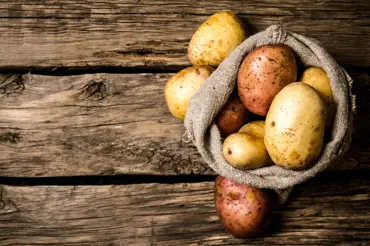 Největší zajímavosti o bramborách: Jejich název prošel mnoha proměnami, zbavily Evropu hladu