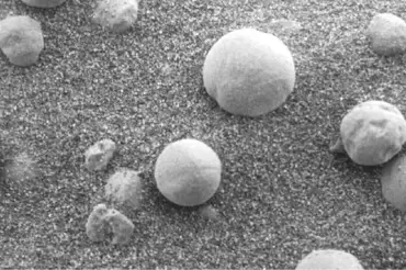 Na Marsu rostou houby, tvrdí vědci. NASA odhalila podstatu tajemných kuliček