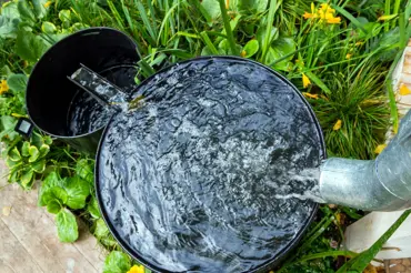 Jak se účinně zbavit komářích larev v sudu nebo vodním jezírku?