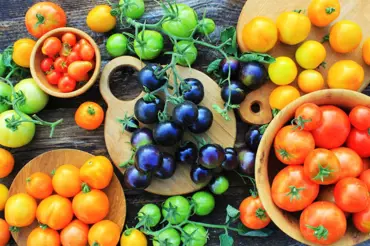 Jak lehce vypěstovat rajčata z plodu, který jste koupili na trhu či v obchodě?