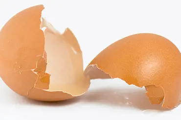 Vaječné skořápky nevyhazujte. Vyrobte lék, který trvale upraví chod žaludku