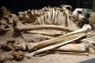 Vědci oživili tvář záhadné ženy, která žila před 15 tisíci lety ve Francii. Její krása je zcela ohromila