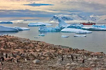 Co se stane, až roztaje Antarktida: Začne to zatopením velkoměst, pak budou následovat mnohem horší věci
