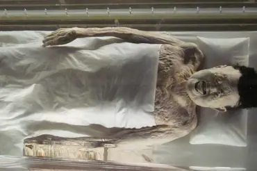 Záhadná mumie lady Dai: Jak mohla 2000 let zůstat neporušená, vědci nevědí