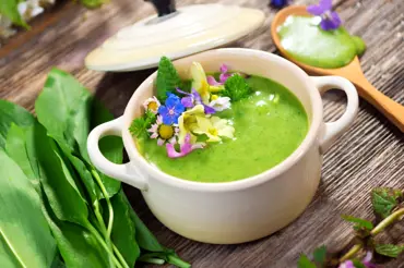 Zelená polévka z jarních bylinek podle Magdaleny Dobromily Rettigové. Chutnala by vám?