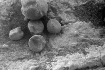 Toto jsou tzv. marťanské borůvky. Podivné kuličky na Marsu rozpoutaly mezi vědci ostré spory