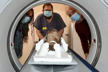 CT sken objevil v mozku egyptské mumie podezřelý záhadný předmět. Nález vědce velmi pobavil