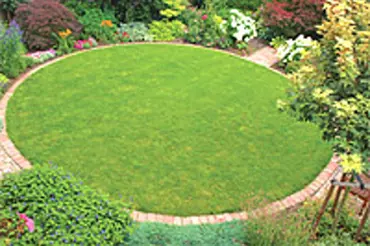Zahrada magického kruhu: Jak probíhala rekonstrukce od běžné k výjimečné?