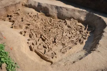 Na Slovensku objevili 7000 let starý masový hrob. Kostrám chybějí hlavy