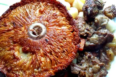 Bedly: Tatarský biftek z nich je houbařská delikatesa skoro zadarmo a bleskem