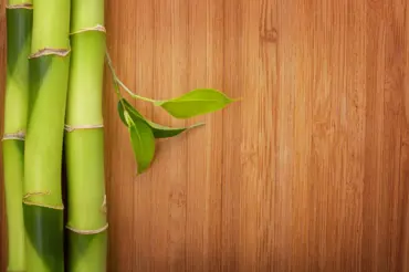 Levnější a krásnější než dřevo: Bambusová podlaha učiní váš byt jedinečným
