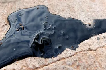 Záhadná černá skvrna připravila o život stovky lidí, její původ je nejasný