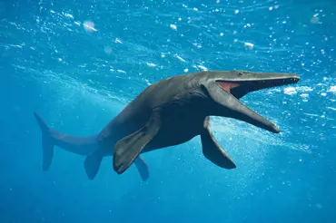 Vědci našli obřího pravěkého kytovce. Postrach moří měl v žaludku další velryby