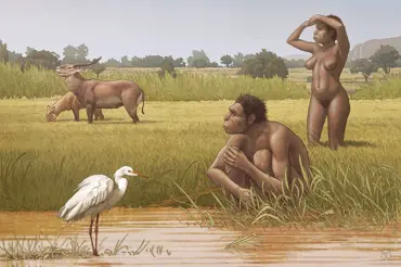 Byl objeven nový lidský předek. Revoluční nález vyvolal mezi vědci velké spory