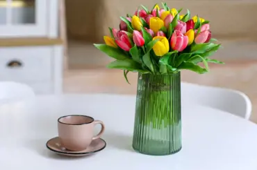 Výrazně prodlužte dobu kvetení tulipánů ve váze: Stačí použít snadný trik s mincí a ledničkou