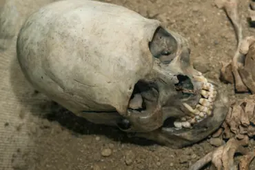 Bizarní lebka podobná mimozemšťanovi objevená v Koreji: Vědci mají vysvětlení