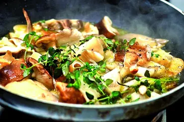 Snadné recepty z hub: Houby s majoránkou, houbový závin, kuře na houbách