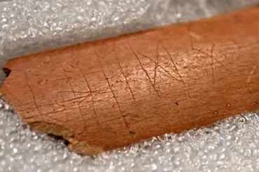 Vědci našli v nalezišti u Břeclavi hovězí kost se záhadnými znaky. Zcela mění pohled na české dějiny