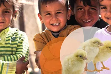 Pošlete velikonoční kuře ohroženým lidem v Sýrii