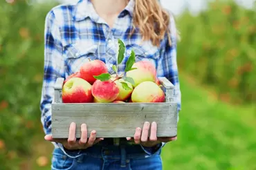 Co s přebytečnými jablky: Upečte je s voňavou náplní a další kreativní nápady