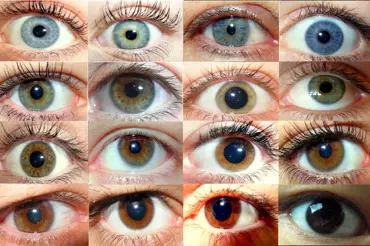 Odkud přišli vaši předkové? Podle vědců to prozradí barva očí. Důležitý je odstín. Jaký máte vy?