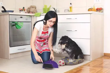 Triky, jak mít doma čisto i s domácím mazlíčkem: Základem jsou gumové rukavice