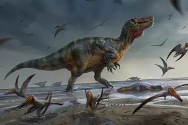 Vědci našli kosti obřího monstra. Megalosaurid byl největším postrachem pravěku