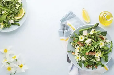 Hořké jaro na talíři: Kopřiva ne na čaj, ale do míchaných vajíček, čekanka a rukola na trávení
