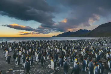Podívejte se na video podivné dlouhé stopy z Antarktidy. Vědci už ji dešifrovali