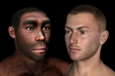 Kdo byl chytřejší, lidé nebo neandertálci? Vědci porovnali mozky a vynesli verdikt