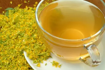 Žlutě kvetoucí běžný plevel: Naše babičky z něj pily čaj pravidelně. Věděly proč