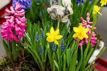 Jarní parapety: Do truhlíků se vám budou hodit nabarvené skořápky i hnízda z větviček