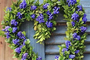 Krásné jarní dekorace z mladého proutí: Udělejte si věnec nad dveře nebo košík na narcisy 