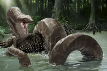 Obří had přežil z pravěku a žije v Amazonii. Domorodci se ho děsí. Vědci stále nevěří, i když ho vyfotili