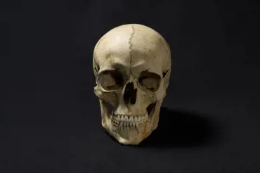 Vědci zrekonstruovali náhodnou středověkou lebku. Vyšla tvář muže tak krásného, že se vám zatají dech