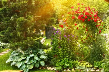 Zahrada jak za starých časů: nejkrásnější inspirace praktickými nápady babiček
