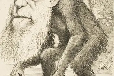 Základní Darwinova teorie je možná mylná: Vědci došli k šokujícímu závěru
