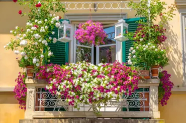 Tipy na nejkrásnější balkonovky: Kombinace, které jsou neodolatelné