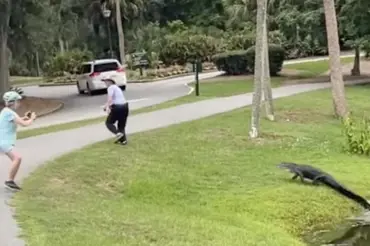 Tohle šílené video nepochopíte! Z jezírka v parku vyběhl aligátor a honil rybáře. Kolemjdoucí byly v šoku