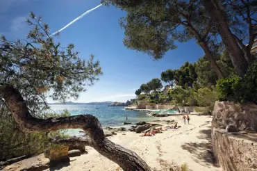 Mallorca: Ostrov mandlí, oliv a diskoték