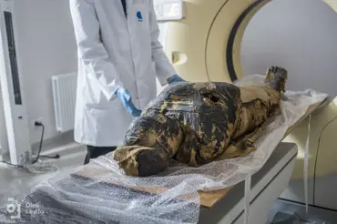Vědci prosvítili egyptskou mumii tomografem. V hlavě objevili předmět, který je upřímně rozesmál