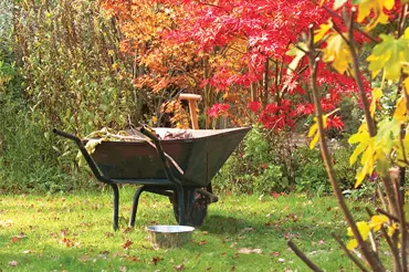 Podzimní péče o zahradu: co řezat a co rozhodně ne a další nutné věci