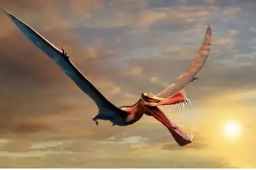 Vědci našli fosilii létajícího monstra. Před obřím zabijáckým drakem s tlamou jako oštěp nebylo úniku