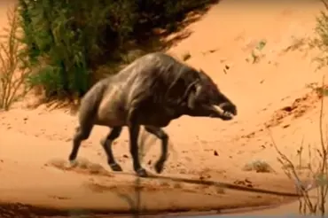 Jak vypadala prasata v pravěku: Pekelný vepř byl jedním z nejošklivějších tvorů všech dob