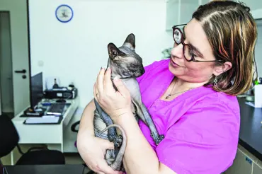 Veterinářka Martina Načeradská řekla, co trápí české kočky