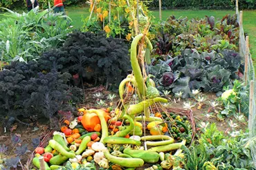 Okrasná zelenina: nechejte se inspirovat šarmem francouzských zahrad