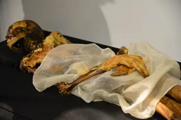 Vědci našli mumii princezny - Amazonky. Podívejte se na její krásné tetování