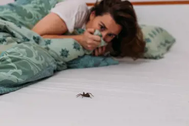 Obléhají pavouci všechny rohy ve vašem bytě a vy se jich štítíte? Řešení leží ve vaší kuchyni