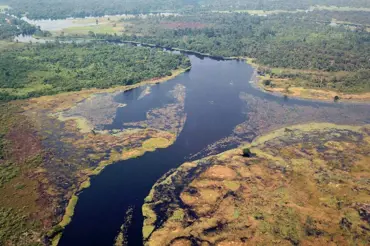 Vědci objevili v Kongu řeku s černou vodou. Podívejte se, co se stane, když do ní strčíte ruku