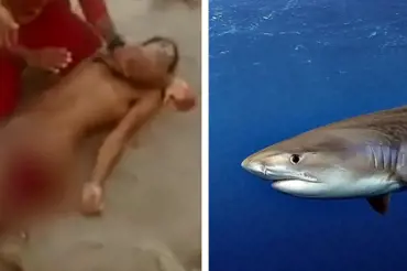 Neuvěřitelný útok v hladinách moře: Žralok UKOUSNUL muži  GENITÁLIE!